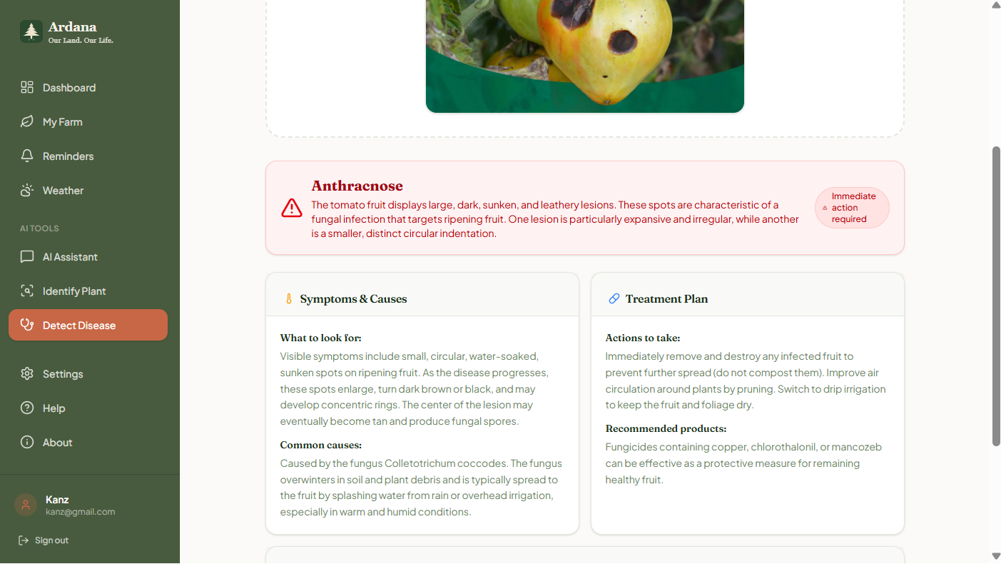 Ardana screenshot 3